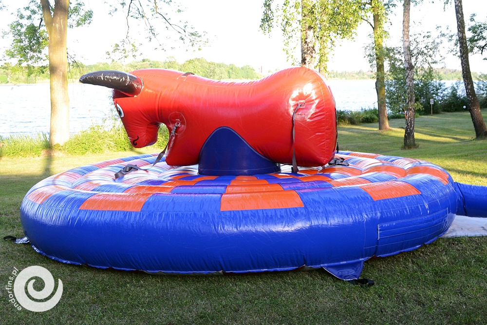 byk rodeo na imprezy integracyjne - łódź i poznań