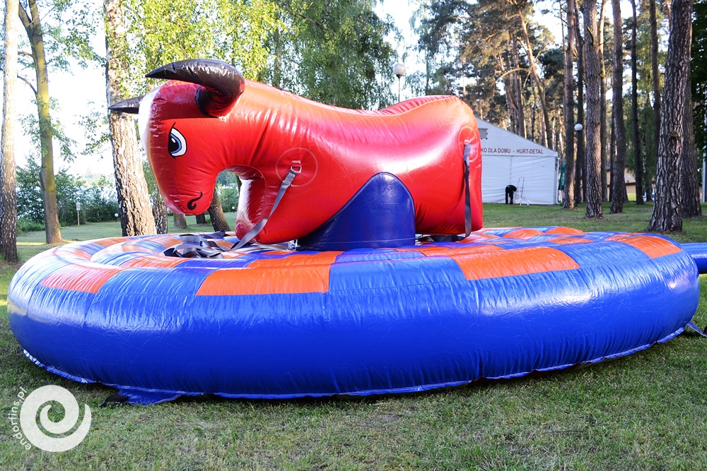 wynajem dmuchanego byka rodeo - poznań i łódź