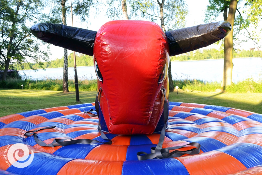 ręcznie sterowany byk rodeo - poznań i łódź