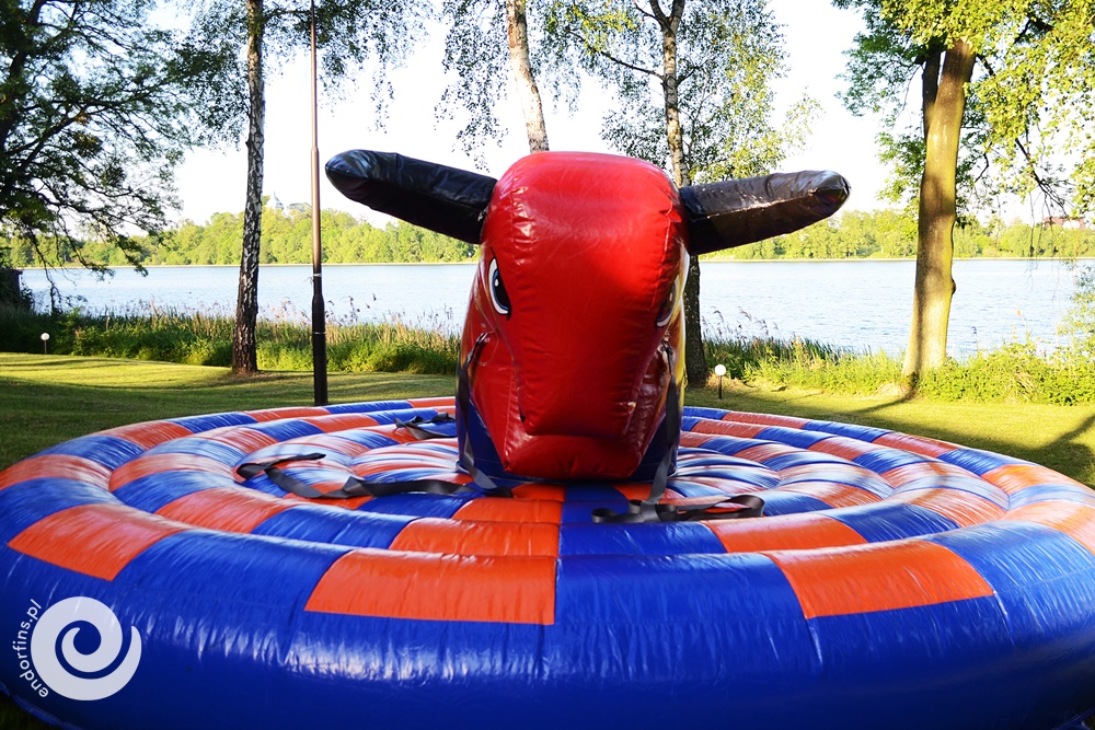 organizacja pikników firmowych - dmuchany byk rodeo